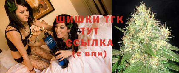 гашик Алексеевка