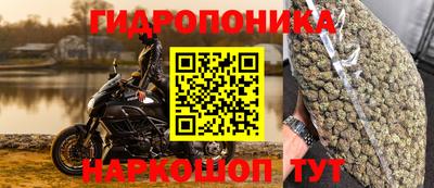 соль ск Гатчина