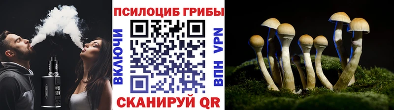 Галлюциногенные грибы прущие грибы  Мыски 