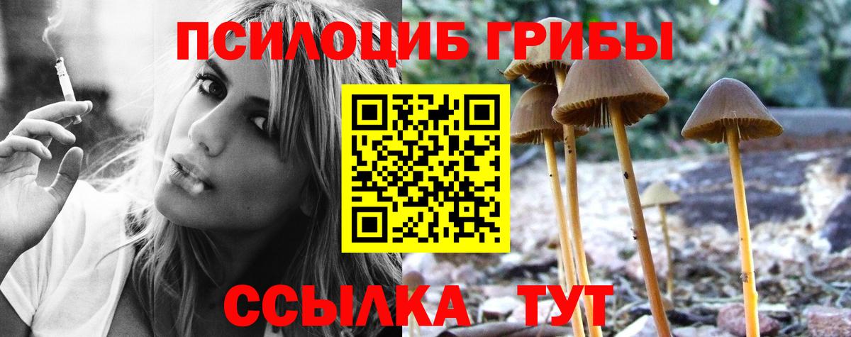 Псилоцибиновые грибы Psilocybine cubensis  купить наркоту  Вход с VPN  Мыски  Псилоцибиновые грибы мицелий 