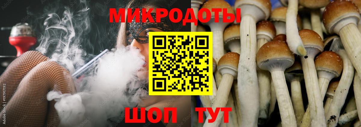 Галлюциногенные грибы MAGIC MUSHROOMS Мыски